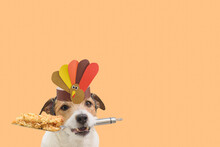 Fun Thanksgiving Background With Dog Holding Piece Of Holiday Apple Pie On Spatula.