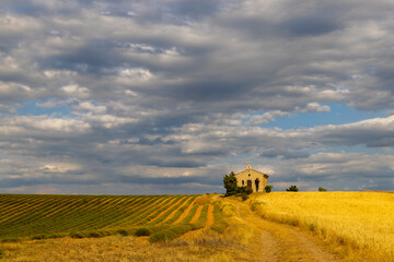 Poster - chapel in Plateau de Valensole, Provence, France