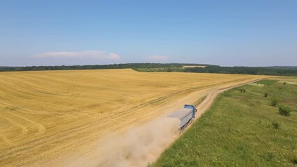 Wall Mural - Aerial view of cargo truck driving on dirt road between agricultural wheat fields making lot of dust. Transportation of grain after being harvested by combine harvester during harvesting season