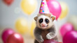 ute slow loris with birthday hat and with birthday balloons on background, copy space, generative AI