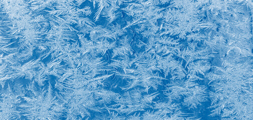 Wall Mural - Ice crystals in the detail on a window glass in winter time