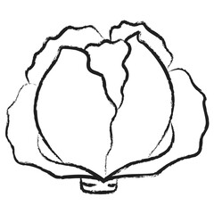 Sticker - Hand drawn Cabbage icon