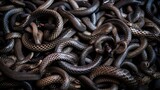 Snakes starts in the spring mating season. Many snakes gathered in the tangle. Illustration for cover, card, postcard, interior design, decor or print.
