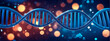 DNA helix ona bokeh background. Banner format.