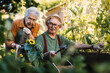 © Halfpoint - Portrait of senior couple taking care of vegetable plants in urban garden.