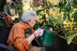 © Halfpoint - Portrait of senior woman taking care of vegetable plants in urban garden.