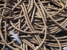 Fully Frame Image Of Old Brown Coiled Marine Or Fishing Rope