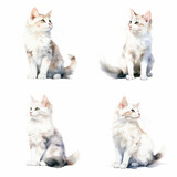 Fototapeta Koty - 白猫の水彩イラスト、リアル