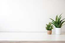 Modern Working Empty White Desk With One Green Plant. Plain White Background And Table Top For Mockups.