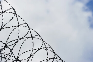 fence made of protective wire