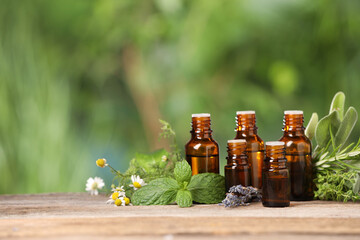 Wall Mural - Bottles with essential oils and plants on wooden table against blurred green background. Space for text