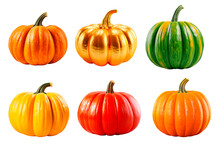 Six Different Varieties Of Festive Thanksgiving Pumpkins Over Isolated Transparent Background