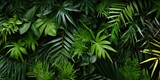 Fototapeta Sypialnia - illustration of tropical leaves, bamboo, generative AI