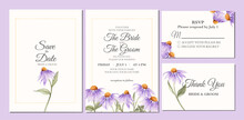 Manual Painted Of Purple Coneflower Watercolor As Wedding Invitation 
