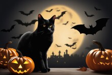 Halloween Background With Black Cat Pumpkin And Bats