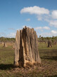 Termite mound on Cape York