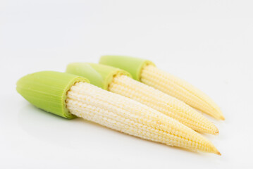 Wall Mural - Raw young corn on white background