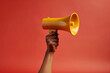 © BloomPix - Woman holding megaphone on color background.