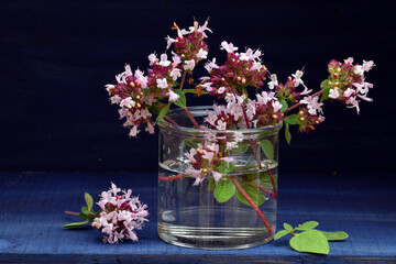 Wall Mural - Branches of with leaves and flowers of oregano (Origanum vulgare) in a glass vase