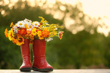 Red Rubber Boots With Flowers Bouquet In Garden, Natural Abstract Background. Symbol Of Summer End, Autumn Season Beginning. Rustic Composition With Seasonal Flowers. Copy Space