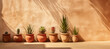 A row of potted plants in terracotta pots of varying sizes and shapes is arranged in a line against a beige wall. The plants are different types of succulents and cacti. 