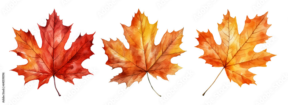 Set of artistic watercolor style autumn leaves isolated on white ...