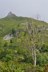 Poster - Lac de Soum - Pyrénées France