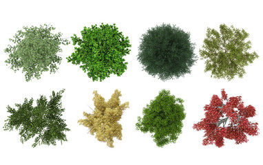 Realistic top view trees