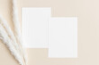 Two white invitation cards mockup with a pampas decoration on the beige table. 5x7 ratio, similar to A6, A5.