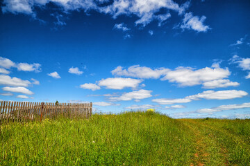 Wall Mural - Beautiful white clouds in a blue sky over a green field or meadow with grass on a summer, spring or autumn day. Nature and landscape with good weather. Background and copy space