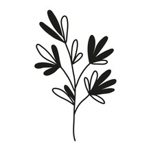 Isolated Hand Drawn Doodle Line Branch With Black White Leaves. Flat Vector Illustration On White Background.