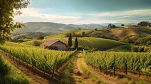 Rolling hills with neatly planted rows of grapevines and a rustic farmhouse. AI generated