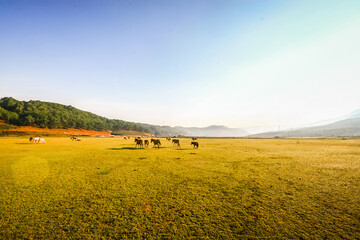 Wall Mural - The people in the Golden Stream Valley are at the foot of Lang Biang Mountain