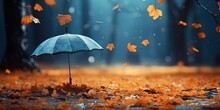 Umbrella In Autumn Forest With Maple Leaves