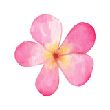 Fototapeta Desenie - Watercolor Flower Illustration