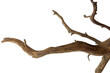 Piece branch of curved and twisted driftwood isolated on transparent background. PNG transparency