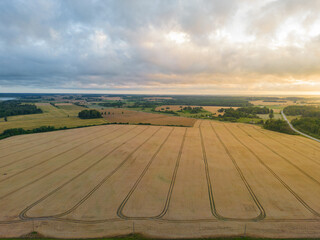 Wall Mural - aerial view on the agricultural fields in evening light with cloudscape sky