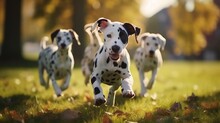Cute Funny Dalmatian Dogs Group Running And Playing On Green Grass In Park In Autum, Generative AI