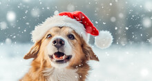 Cute Large Breed Dog Wearing Christmas Santa Claus Hat In Snow Falling Sky Scene. Winter Landscape. Christmas Holidays. Christmas Card. Digital Ai