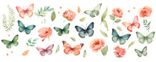 Set Of Butterflies Isolated On White Background. Watercolor. Illustration