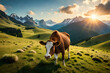 Cow grazing in an alpine meadow. Generative AI
