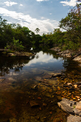 Canvas Print - river and forest