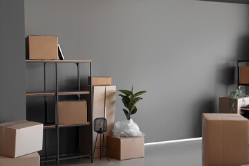 Wall Mural - Interior of modern office with cardboard boxes on moving day