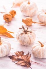 Sticker - White pumpkins, poppy heads and autumn leaves on wooden background