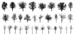 Bare deciduous trees silhouette, set. Beautiful different leafless trees.  Vector illustration
