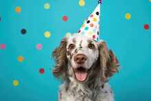 Cute Dog Wearing Party Hat With Polka Dots On Vibrant Blue Background. Perfect For Celebrating Birthdays, Anniversaries, Or Any Joyful Occasion.