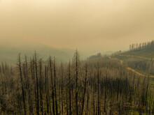 California Wildfire Smoke
