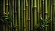 Green bamboo texture. Oriental grass fence seamless pattern. Wallpaper, background