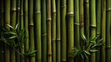 Fototapeta Sypialnia - Green bamboo texture. Oriental grass fence seamless pattern. Wallpaper, background