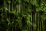 Fototapeta Fototapety do sypialni na Twoją ścianę - Green bamboo texture. Oriental grass fence seamless pattern. Wallpaper, background